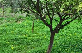 Greece - holidays & long stays - 2 Vilas - Photo 26