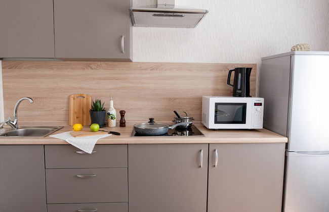 ApartHotel Elagin - Foto 37