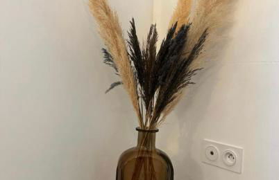 L’Amistouso - Foto 12