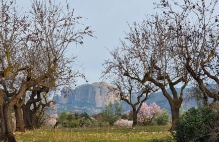 Les Valletes - Foto 14