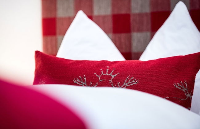 Ferienwohnungen Vomperberg - Foto 16