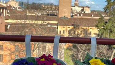 Mansarda Le Torri - Foto 4