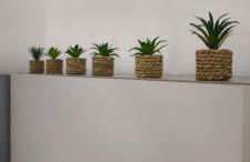 Résidence privée avec piscine à Bonifacio - Foto 14