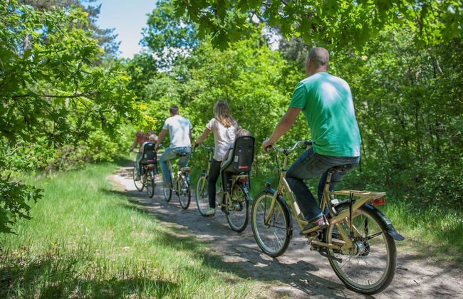 Holiday Home Near De Biesbosch & Breda - Photo 30