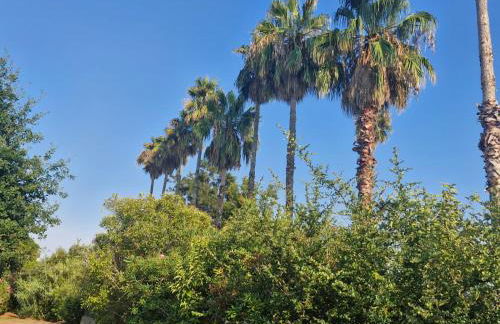 Casa Giul' Poggio Mezzana - Foto 48