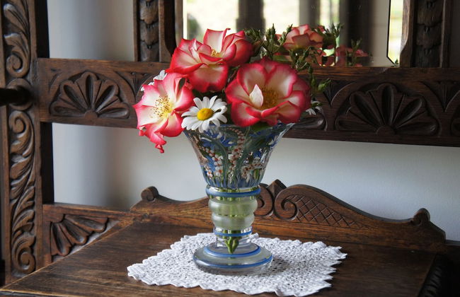 Phytoncide Morinokaori - Foto 21