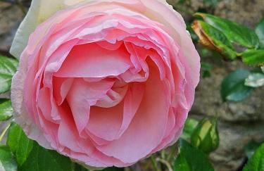 La Bâtie - Vue imprenable - Amazing view - Parking privé - Photo 12