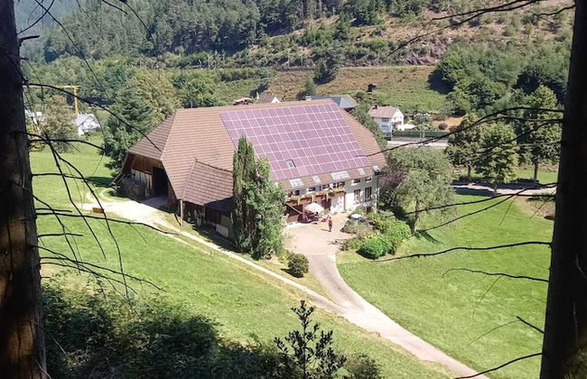 Holiday Home in Hornberg Near Triberg Falls - Foto 21