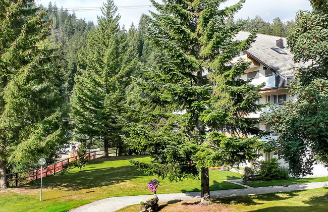 Val Signina - Foto 11