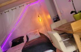 Au Fil De l' Eau 21 rue des Minotiers 43110 Aurec-sur-loire - Foto 22