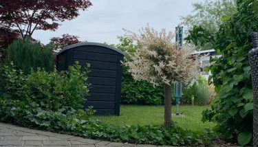 Ferienwohnung "An den Wiesen" - Foto 5, Garden