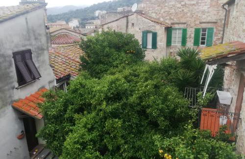 The 4 Senses Experience - Foto 48