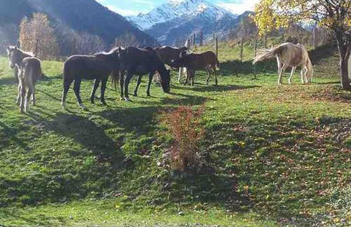 LES CHALETS D'AURE. - Foto 15