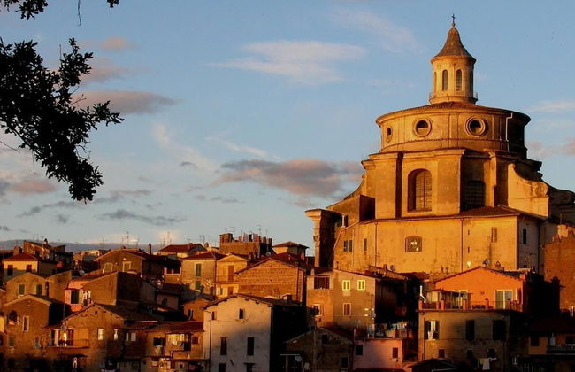 Olive Tree Hill - Foto 25