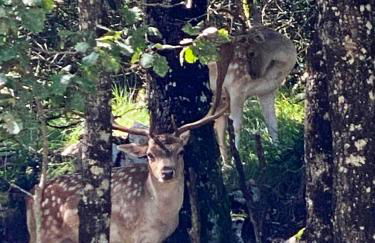 Maison confortable au cœur de la nature près de Camps-sur-l'Agly - Photo 20