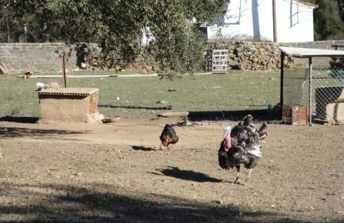 Casa Rural Sierra San Mamede - Foto 36