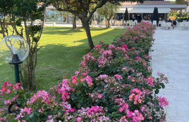 Signora Ruth - Aprilia Residence - Photo 77