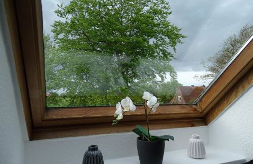 Ferienhof Ostarle - Foto 14