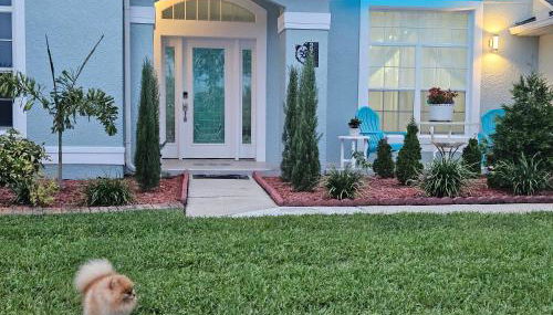 Charming, beautiful house closer to Disney World - Foto 3, Garden