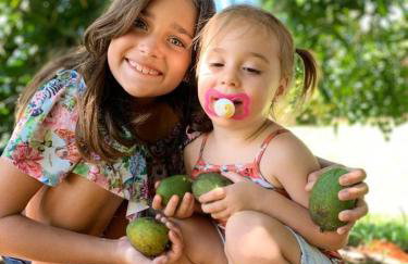 Hotel Fazenda Santa Helena - Photo 13