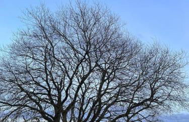 Amazingly quiet and peaceful studio getaway. - Foto 26