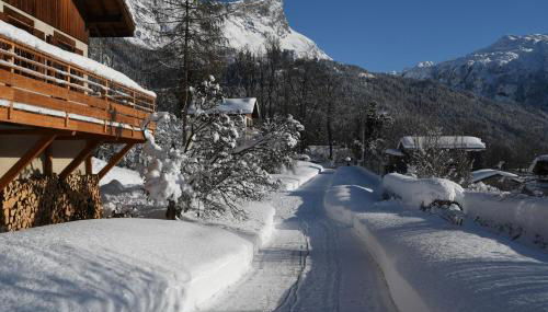 Face Mont-Blanc - Photo 1