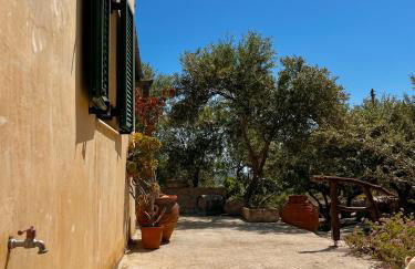 AMPELIA KYTHIRA - Foto 80