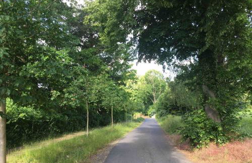 Gartenhaus mit Sauna am Buckowsee, Märkische Schweiz - Foto 11
