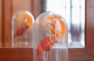 Sabea - Baskey Rentals - Foto 32