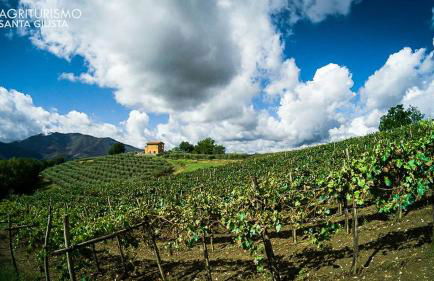 Santa Giusta - Foto 35