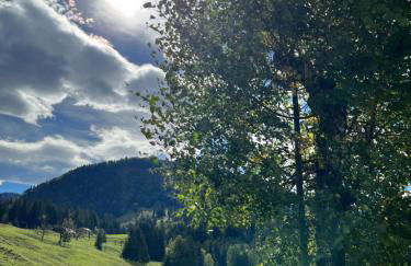 Alpenpanorama mit Bergblick - Foto 46