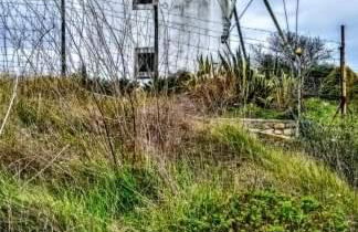 Pateo da Memória-Casa do Artesão - Foto 16