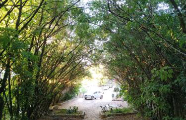 Ap de Frente para o Mar de Itaparica - Photo 35