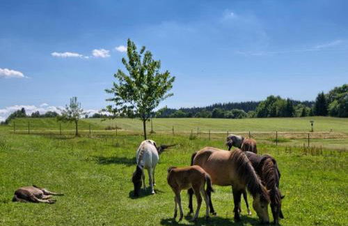 Charming Apartment, Harz Region - Foto 24