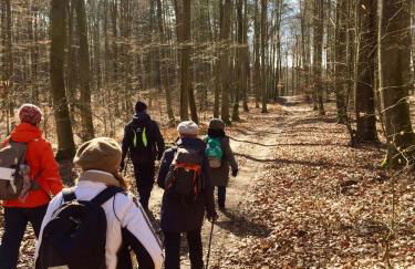 Maisonetten Apartment - Foto 28