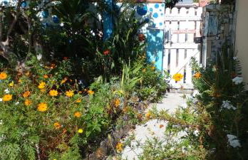 Gruta da Praia 1 - Foto 20