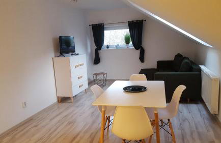 Apartamenty - Pod Wierzbami - Foto 16