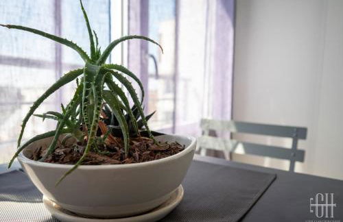 Le Lilas - 2 chambres - parking - Photo 12