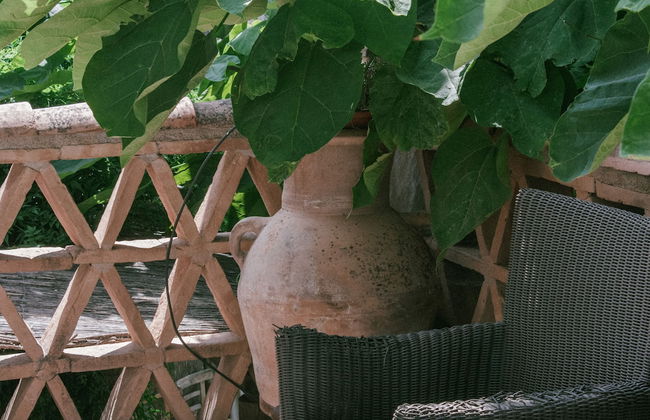 Alqueria de los Lentos - Foto 47