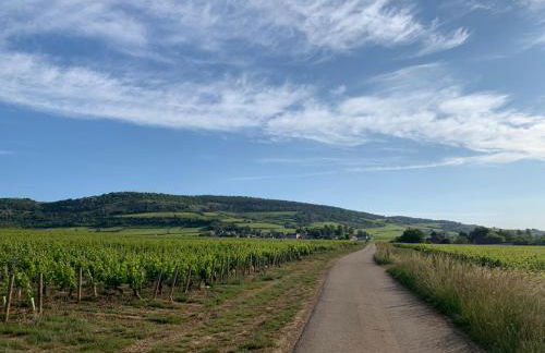 The Gate House & Winery - Foto 22