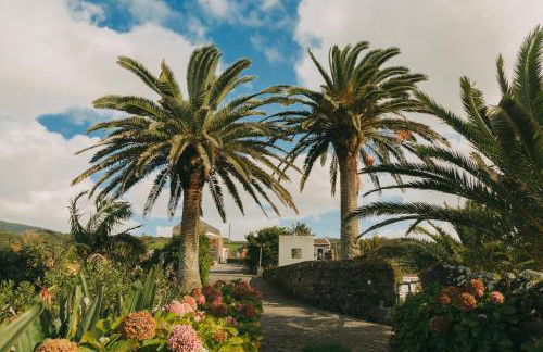 Moinho das Feteiras - Photo 68