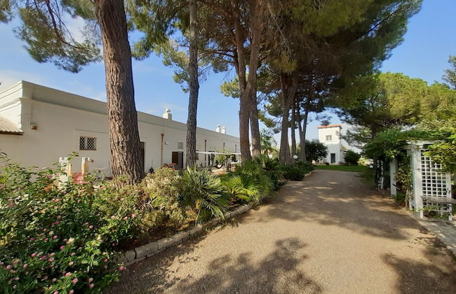 Agriturismo La Stornara - Foto 61