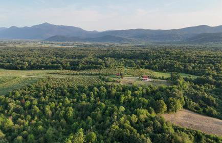 Monte Symphony - Foto 5