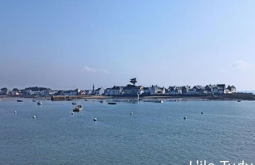 Charmante longère bigoudène - Photo 68