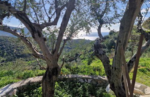 Archontoula's villa - Foto 22