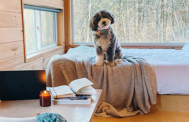 Postcard Cabins Blake Brook, Outdoor Collection by Marriott Bonvoy - Photo 2