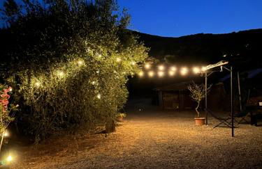 La Ghiandaia - Foto 18