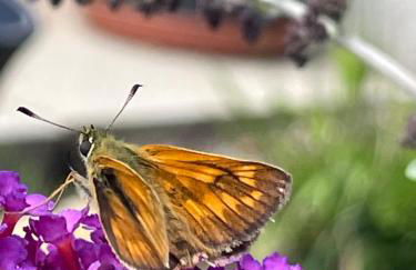 Ferienwohnung Aussicht, Monheimer Alb, Altmühltal - Foto 3
