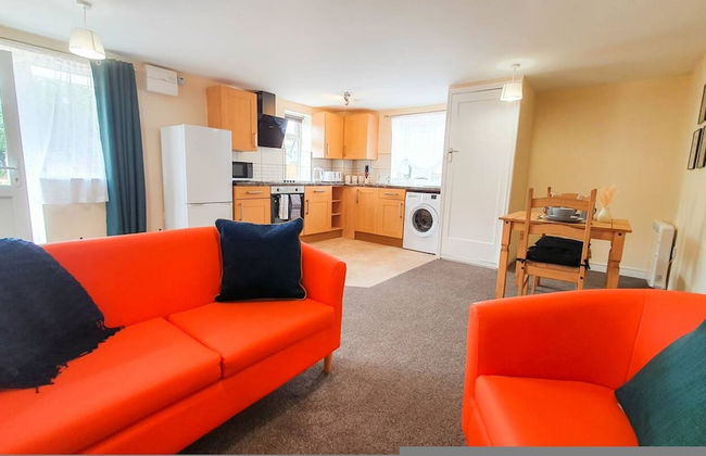 Orange Lilly in Stroud - Foto 15