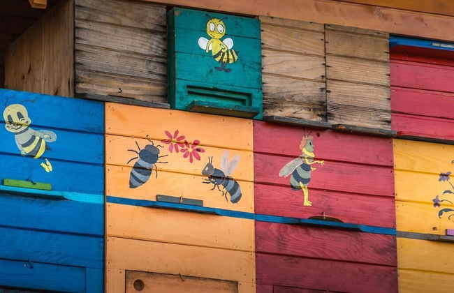 Vineyard Cottage Vina in Medu - Foto 19